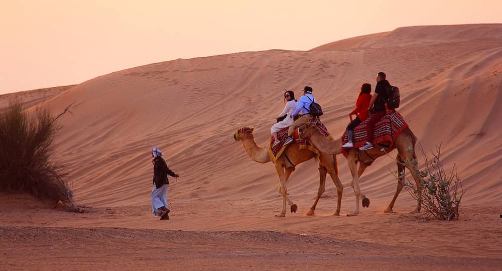 excursión camellos desierto