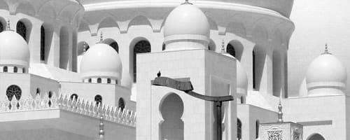 Abu Dhabi mezquita