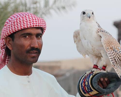 excursión desierto Dubái águila