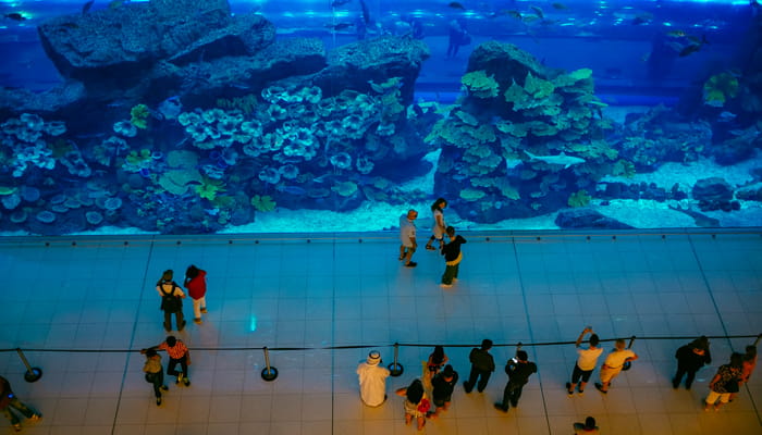 Dubai Aquarium & Underwater Zoo